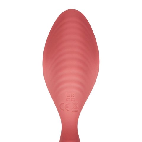 Panty Vibrator with Remote Control