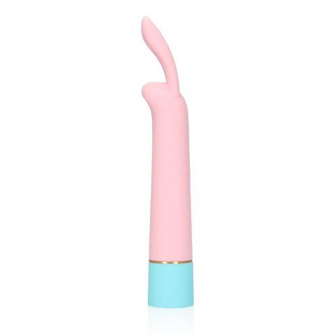 Mini Rabbit Vibrator with USB Charger