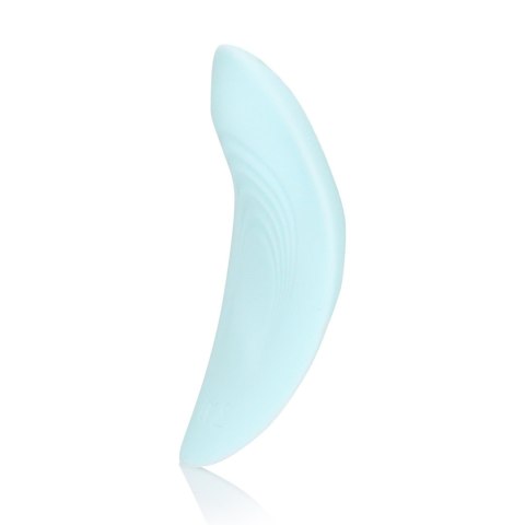 Panty Vibrator with Remote Control