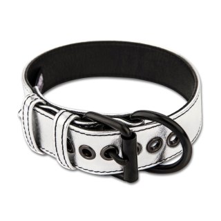 Bondage Fetish Metallic Pup Collar With Leash