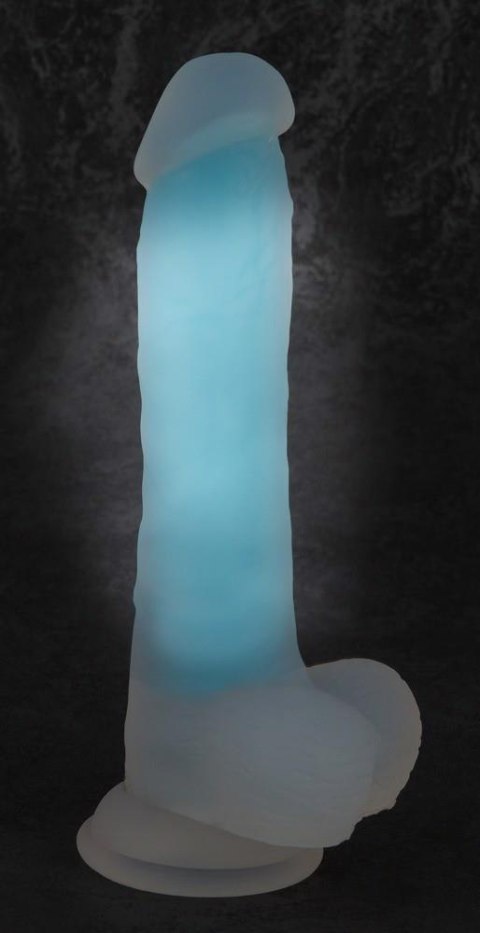 Glow in the Dark Dildo