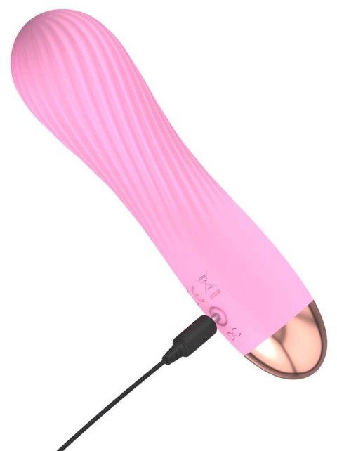 Cuties Mini Vibrator Rose 2.G