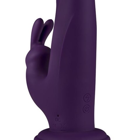 FeelzToys - Whirl-Pulse Rotating Rabbit Vibrator & Remote Control Purple