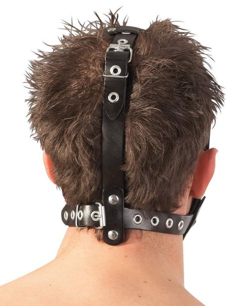 LeatherHead harness with Dildo