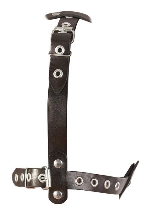 LeatherHead harness with Dildo