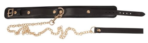 Leather Collar and Leash gold