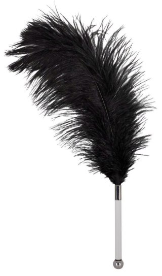 Feather black acrylic