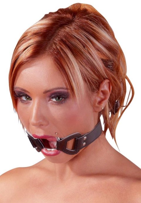 Imitation Leather Gag